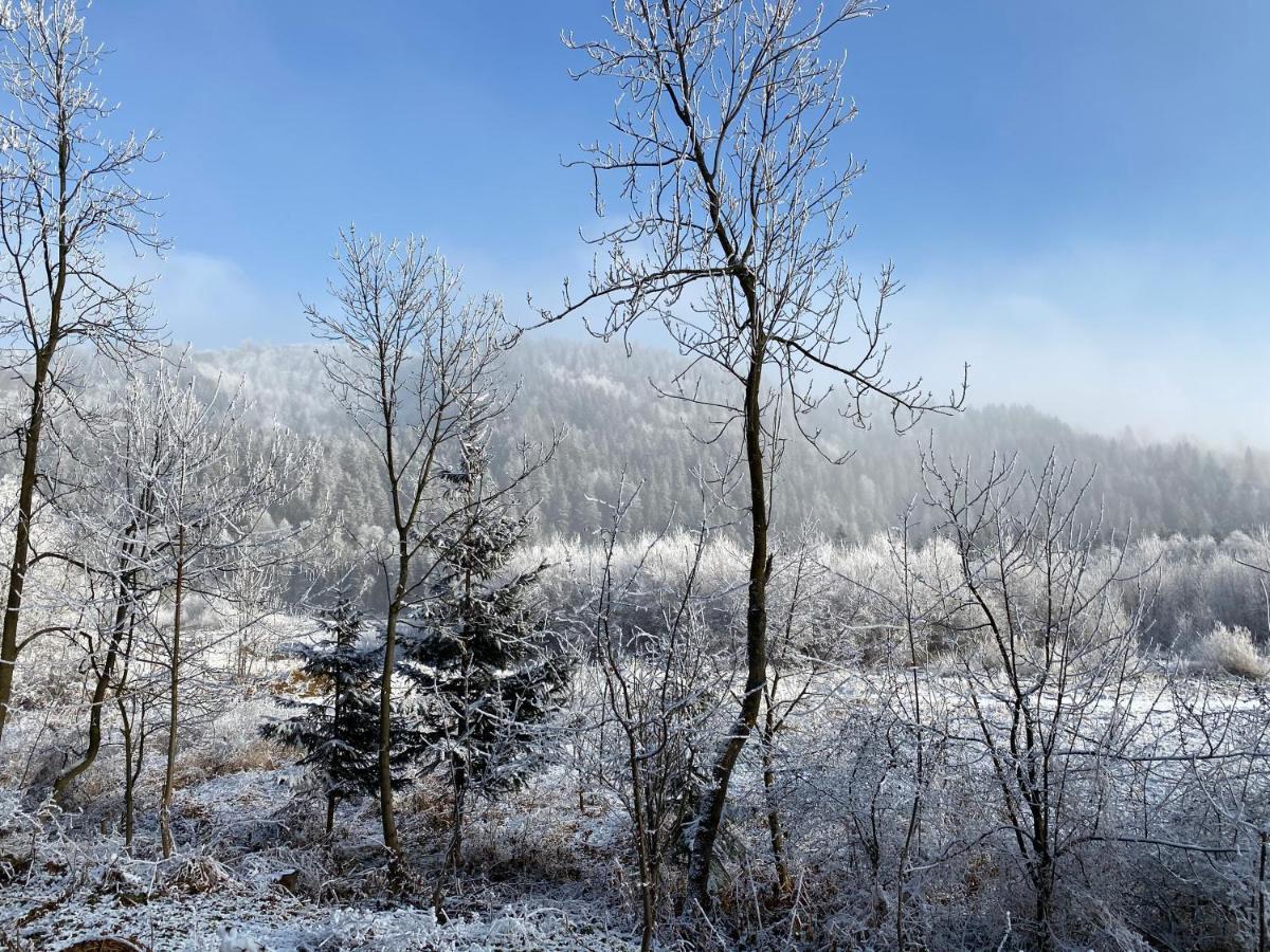 Pokoje Goscinne Pod Jaworem - Obok Pieknego Szlaku Wzdluz Rzeki Bialka, 1Km Do Stokow Kotelnica Экстерьер фото